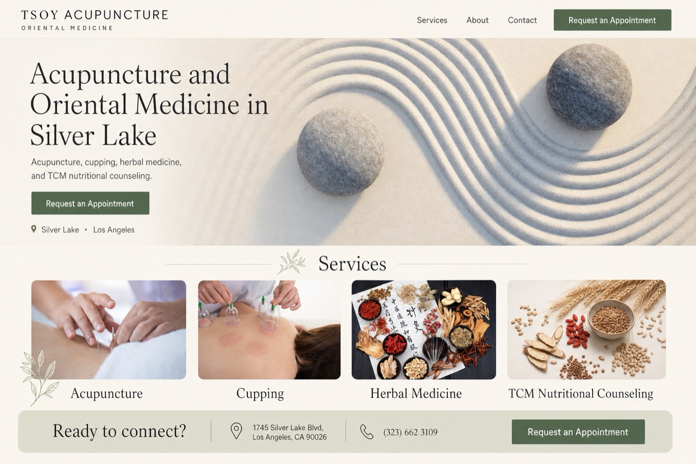 Large preview of the Tsoy Acupuncture website concept